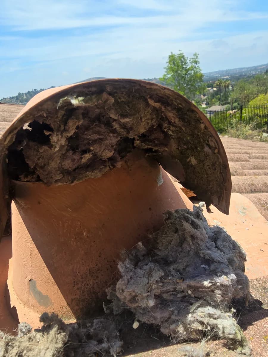 Exterior dryer vent exhaust packed with lint