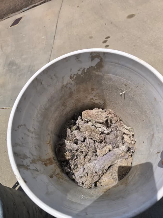 Lint visible from an accessible dryer vent line